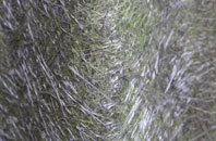 Bulstrode fibreglass roof work